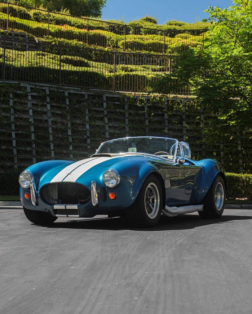 Shelby Cobra